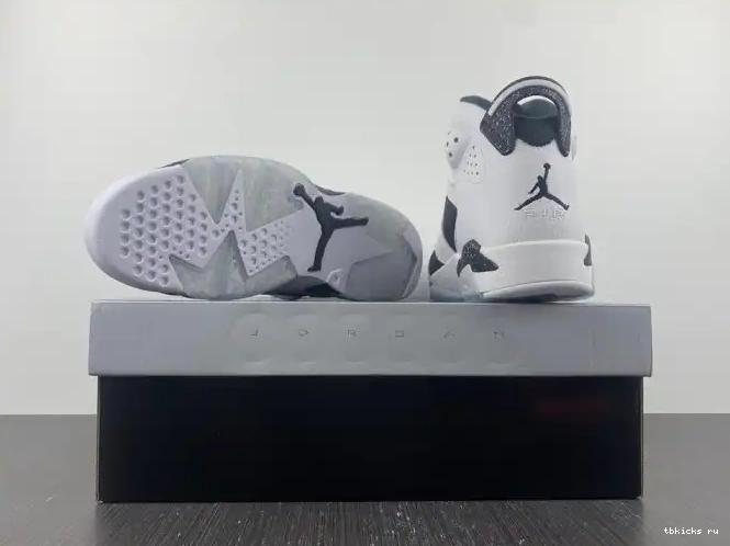 Reps TB Jordan Oreo Retro 6 384664-101 0614